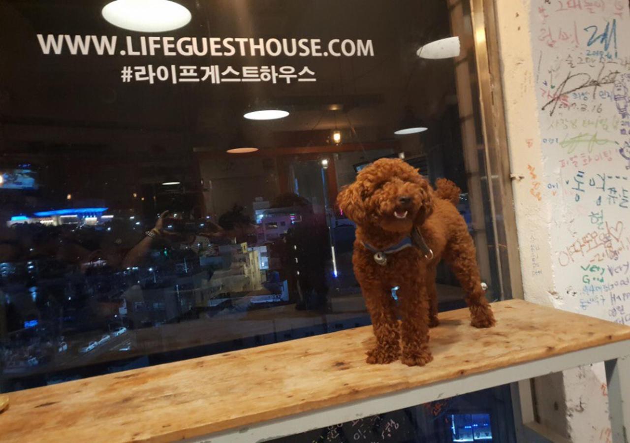 Lifeguesthouse Tongyeong Eksteriør bilde
